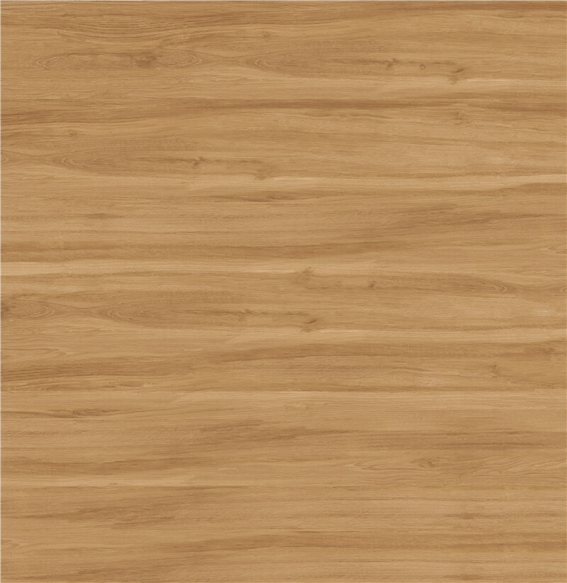 PX1205