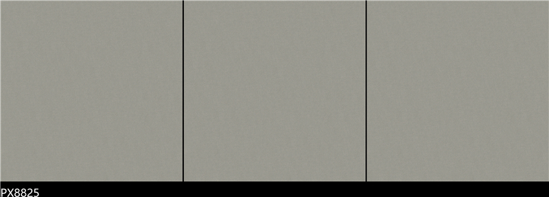 PX8825