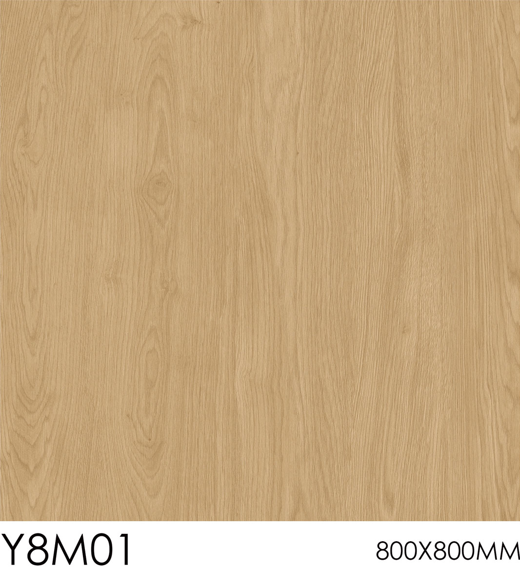 Y8M01