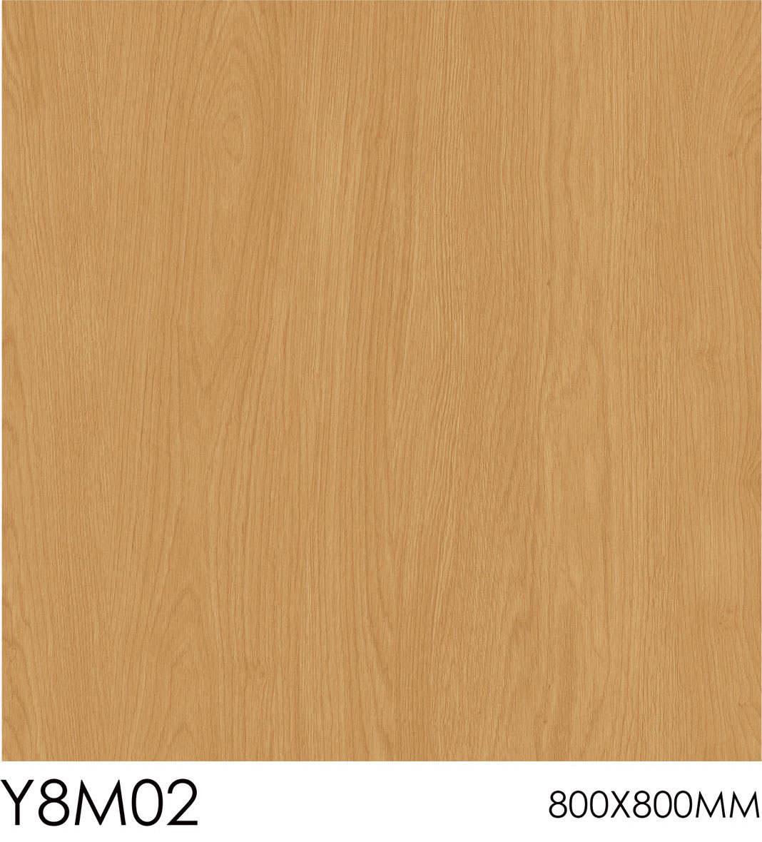 Y8M02